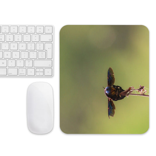 Mouse pad